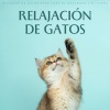 Tiempo Discreto、Zona de música de gatos、Gato Música Relajación - Sereno Sueño Felino