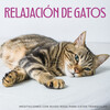 Ruidos suaves de repetición、Hora de la Música del Gato、Gatos somnolientos - Meditación Serena Con Gatos