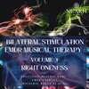 Solfeggio Healing Home、EMDR Therapy、Binaural Beats Healing - Right Oneness, Pt 1