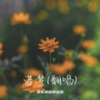 永不消逝的太阳 - 若梦