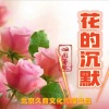 杨梓 - 帅乖乖 (DJ何鹏版)