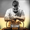 Frenkie《Trijumf (Explicit)》[MP3/LRC]