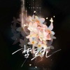 李泳璇(阿璇) - 梦里花