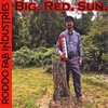 Roddo Fab Industries - Hide and Seek