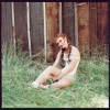 Kacy Hill - Frog Rinse