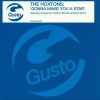 the hoxtons - Gonna Make You A Star (Hoxton Whores Radio Edit)