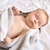 Lullaby Baby Trio、Goo Goo Gaga's、TransferX - Sweet Tranquil Tunes Waves
