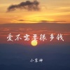 小雾神 - 爱不需要很多钱