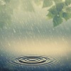 Weather Man、Soothe Sounds、Rain Sounds for Life - Droplets Rainy Peace Bliss