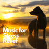 Streams of Dreams、Therapeutic Reality、Pet Music Therapy - Pet Overture by the Stream