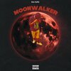 Don Hoffa - Moonwalker (Explicit)