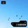 三妹 - 用情