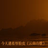 纹彼岸花 - 今天遇着厚脸皮 (云南山歌)