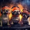 Rain Therapy、Mindful Audio、Dog Music Bliss - Rainfall Dog Comfort