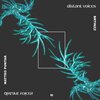 Brtinzz、Matteo Puntar - Distant Voices (Original Mix)