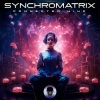 Synchromatrix、Effectrix - Internal Motivation