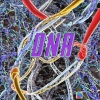 Showbiz - DNA (Explicit)