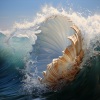 Sounds of the Forest、Sure Shores、Flow Meditation - Meditation Alongside Ocean Melodies