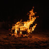 Fire Sound、Osterous、Pherusa - Blaze Illuminates Moments of Tranquility