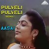Deva、Vairamuthu、K. S. Chithra、p. unnikrishnan - Pulveli Pulveli Remix
