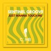Sentinel Groove - Just Wanna Touch Me (Radio Edit)
