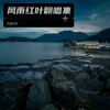 风雨红叶 - 思念的夜晚