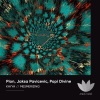 Jaksa Pavicevic - Kayya