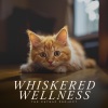 Cats Music Zone - Rest by Calm Waters