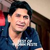 Florin Peste - Nebunia a inceput
