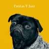 Jazz en el fondo、Mi Café House Smooth Jazz、Música para Gatos Paz - Los Bigotes Temblan Con Las Melodías