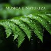 Hipnose Natureza Sons Coleção - Sinos Budistas e Chuva