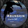 Flavio MP、Flavio Molin Pradel - Synthed