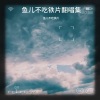鱼儿不吃铁片 - 姑娘别哭泣