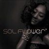 Sol Flower《미워도 미워해도》[MP3/LRC]