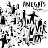 Anegats、Pep Àlvarez - Aprenent