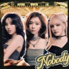 田小娟、WINTER、丽兹 - NOBODY