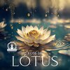Meditação e Espiritualidade Musica Academia - Espiritualize sua alma