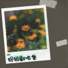 蜉蝣 - 马马嘟嘟骑