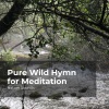 Nature Sounds、Sleep Sounds of Nature、Nature Sounds Nature Music - Silence in the Forest