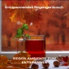 Ruido Blanco Hart、Regengeräusche、Waldgeräusche《Grauer Himmel, Bunte Klänge》[MP3/LRC]