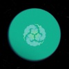 Kinsen、阿扣叩叩 - Night Safari (Sumeru Collection)