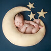 Toddi Musicbox、The Aardvark、Goo Goo Gaga's - Tunes Under Starry Nights