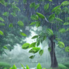 刘一祯 - 雨沐香庭