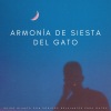 Los viajeros del ruido blanco、Perra total relajarse、Gurú de la música de relajación - Espectro De Serenidad