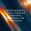 Sonido Blanco、Relajamiento Total para las Mascotas、Ambiente De Lluvia - Patas En La Lluvia Torrencial