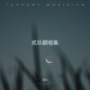 贰玖 - 如愿