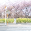 りゅー - Cool Eyes (feat. 初音ミク)