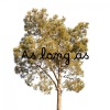 Matthew Hall - As Long As