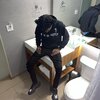 Kaedoe Smack - Dumb Wild (Explicit)