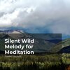 Forest Sounds、Ambient Forest、Rainforest Sounds - Steady Running Stream